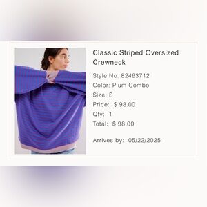Free People Classic Striped Oversized Crewneck in Plum Combo